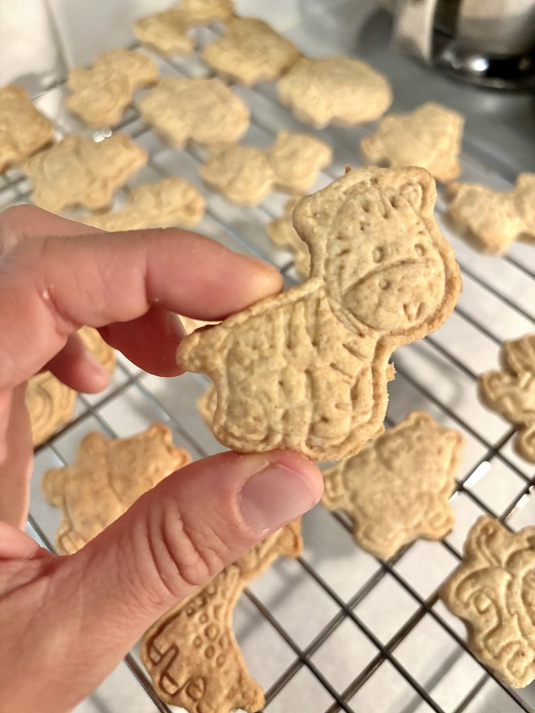closeup of a hand holding a zebra shaped sourdough discard animal cracker, with animal crackers on a metal cooling rack in the background